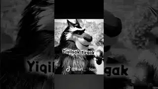 Bo'rilar hayoti do'stlar sog' bo'ling
