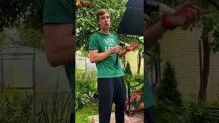 Полезные гаджеты для барбекю Совет от подписчика #shorts