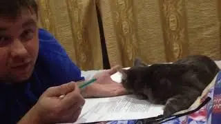 Работа подождет или Анфиса против😸✌