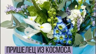 Cosmic narcissus/ bouquet packaging/ men's bouquet/ gift from colleagues