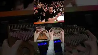 Papa Roach - Last Resort (kalimba looping cover by VISKO)
