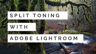 Split Toning with Adobe Lightroom Classic CC