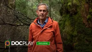 The Giants | Official Trailer | DocPlay