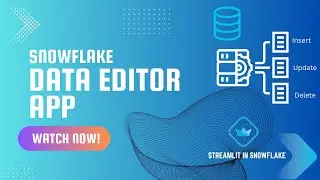 Data Editor App | Streamlit in Snowflake | Native App Demo