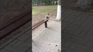 17 августа 2023 г.