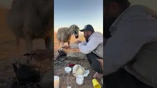 Çölde sabah kahvaltısı közde çay isot ev ekmeği var