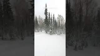 Проезд после сильного снегопада #powder #шерегеш #freeride #лыжи #фрирайд