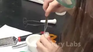 Science High