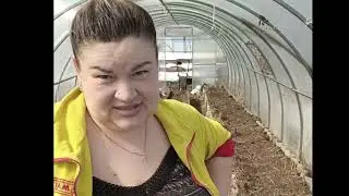 наш день 