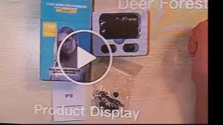 DeerForest Wireless headset with a power bank