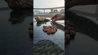 ЧТО МЕЖДУ ВАМИ ПРЯМО СЕЙЧАС ‼️ 