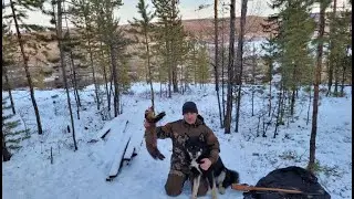 Охота на соболя с лайками. Заезжаем на дальние угодья. День 1