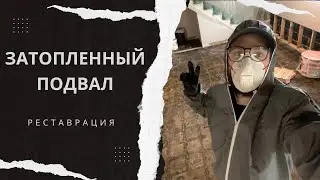 Реставрация Подвала в США