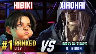 SF6 ▰ HIBIKI (#1 Ranked Lily) vs XIAOHAI (M.Bison) ▰ High Level Gameplay