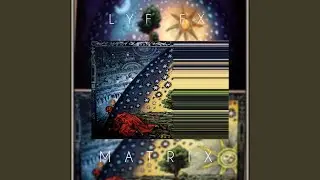 MATRIX
