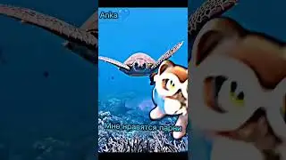 МИНИ-КЛИП //𝐓𝐎𝐘𝐒 𝐂𝐀𝐓𝐒\\ КЭТИ СИАМСКАЯ- CO2💙🌊