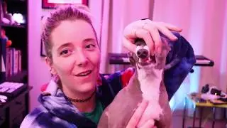 How To Care For Your Cermet|2|Jenna|Marbles|Mourey|Funny|Boyfriend|Tutorial|Kermit|Best|Makeup|Cute