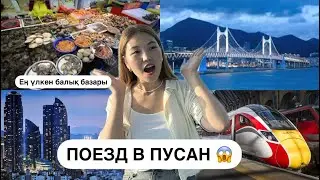 ПУСАН | Дәл осындай деп еш ойламадым