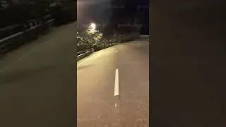 В Сочи огромное дерево упало на трассу в Красную Поляну