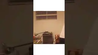 Внешность обманчива...