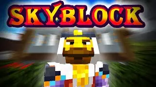 Solo Hypixel SkyBlock [136] This NPC changes EVERYTHING