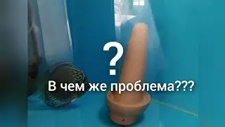 немного о нересте дискусов.