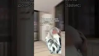Надеюсь не жиза? 