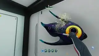 This game is sooooo buggy!