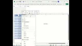 Eagle Updates Excel Basics
