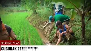 Pompanisasi Kelompoktani