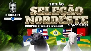 BERROCAST - SELEÇÃO NORDESTE DORPER & WHITE DORPER