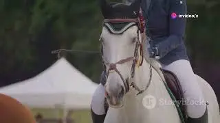 equestrian paralympics 2024 2024