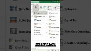 Highlight Duplicates Using Conditional Formatting in 