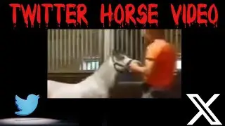 Twitter Horse Video And Other Gross Videos