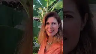 GÜNÜN HİS YÜKLEMELERİ #shorts