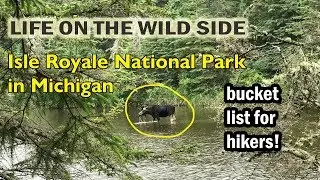 This IS life on the wild side - hiking Isle Royale Nat'l Park in Michigan