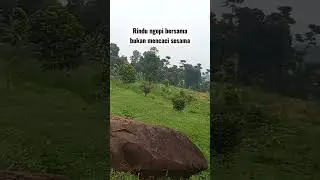 rindu ngopi bersama #ngopi #camping #shortvideo  #shorts