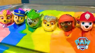 Paw Patrol Stuck in Slime! Can You Help Us Clean Them?