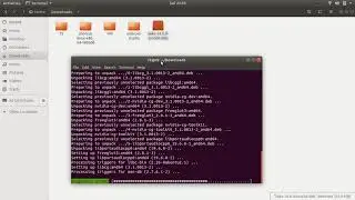 Ubuntu Deb Uzantılı Dosya Kurulumu