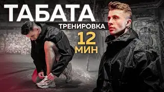 Тренировка для СЖИГАНИЯ ЖИРА | ТАБАТА 12 МИН