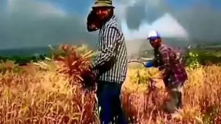 Süper Damar Türkü Aglatan