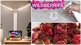💎 10 COOLEST PRODUCTS from Wildberries 💎 I know how to surprise you!