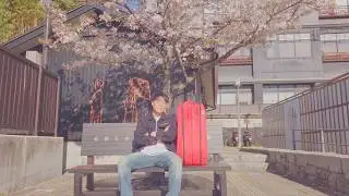 🎾 Japanese tennis trip with cherry blossom rain, reuniting with my Japanese friend for two years🚐