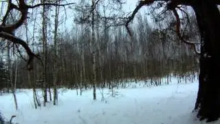 Выход на лыжах - открыл сезон