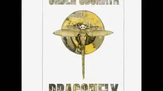The Infinity Project-Brain Bokka