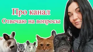 Две эстафеты. Вопросы про YouTube.