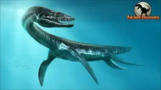 Sauropterygia Evolution Story