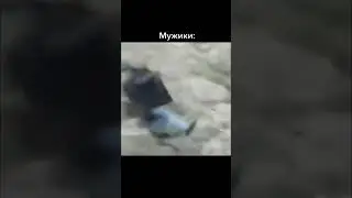 как чихают девочки