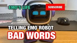 Telling EMO Robot BAD... Words
