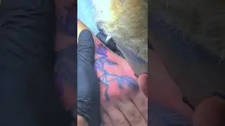 Minha paz começa e termina aqui ✨